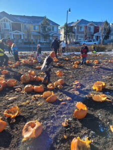 Griesbach Halloween Pumpkin Walk